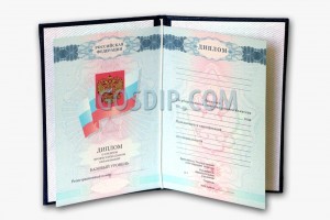 диплом среднее профессиональное 2007-2010